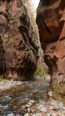 Zion National Park "The Narrows"