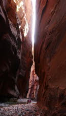 Zion National Park "The Narrows"