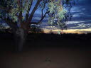 Sonnenuntergang im Outback